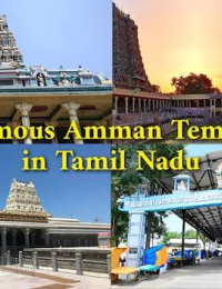 thiruvannamalai to ooty