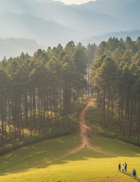 Kerala hill-station-focused 8 Days / 7 Nights tour package
