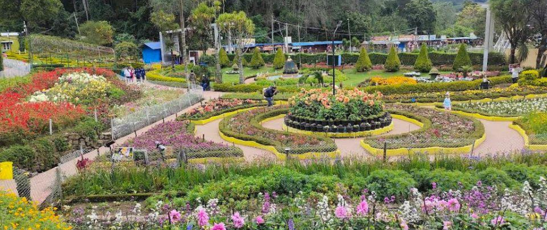 tamilnadu kodaikanal tour